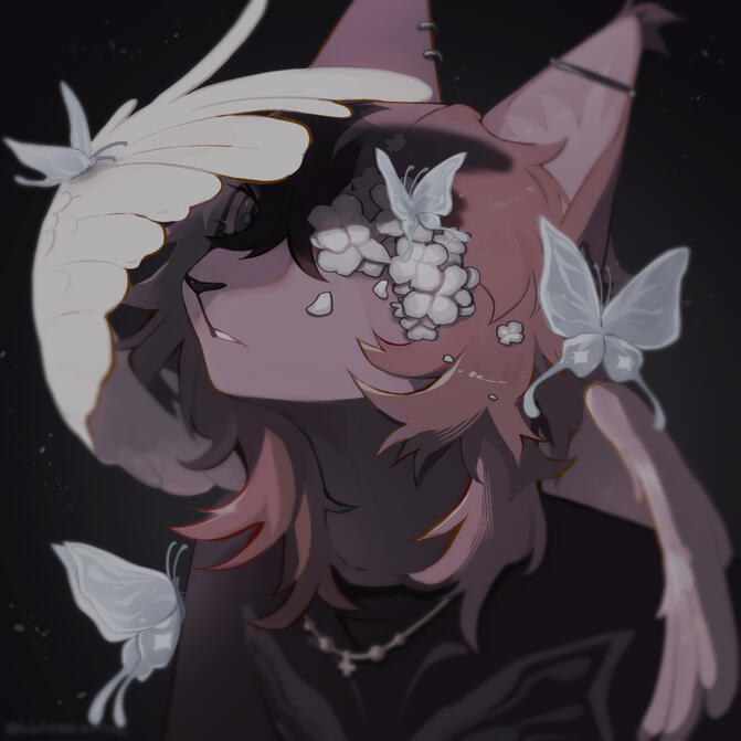 Commission for Astrophei